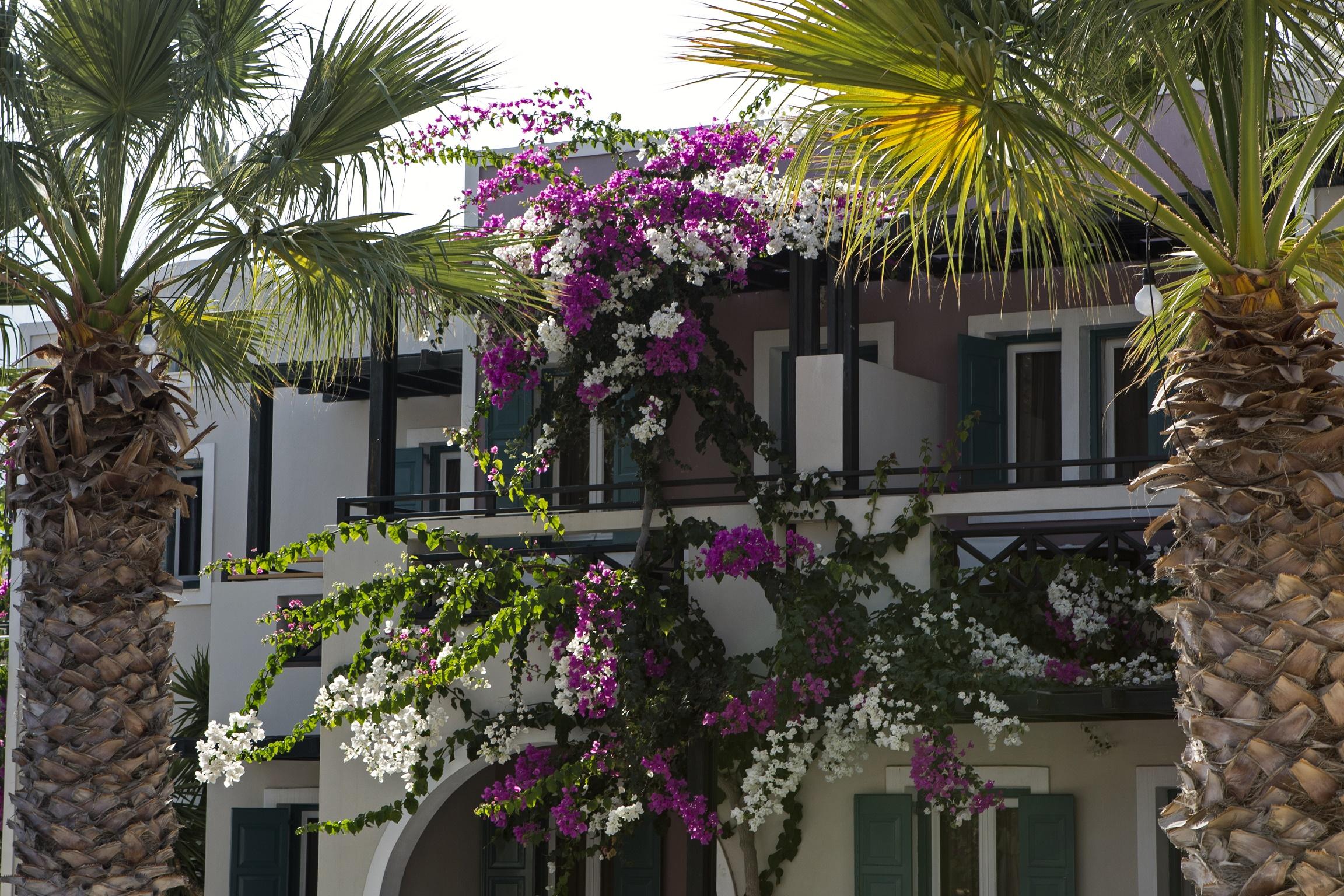 Rose Bay Hotel Kamári Zewnętrze zdjęcie
